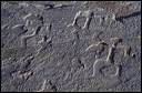 northshore-petroglyph-01