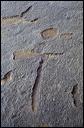 northshore-petroglyph-03