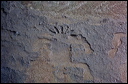 northshore-petroglyph-04