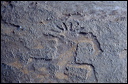 northshore-petroglyph-06