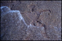 northshore-petroglyph-07