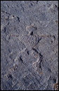 northshore-petroglyph-08