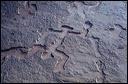 northshore-petroglyph-10