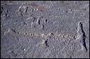 northshore-petroglyph-15