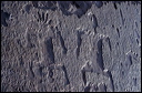 northshore-petroglyph-25
