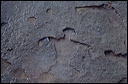 northshore-petroglyph-26