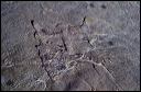 northshore-petroglyph-32