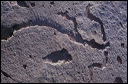 northshore-petroglyph-33