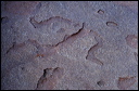 northshore-petroglyph-34