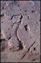 northshore-petroglyph-35