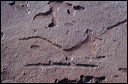 northshore-petroglyph-38