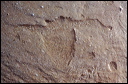 northshore-petroglyph-40
