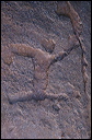 northshore-petroglyph-46