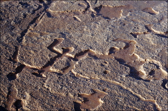 northshore-petroglyph-02.jpg