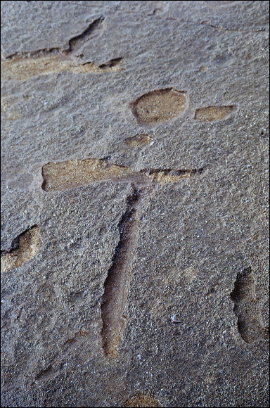 northshore-petroglyph-03.jpg