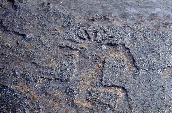 northshore-petroglyph-06.jpg