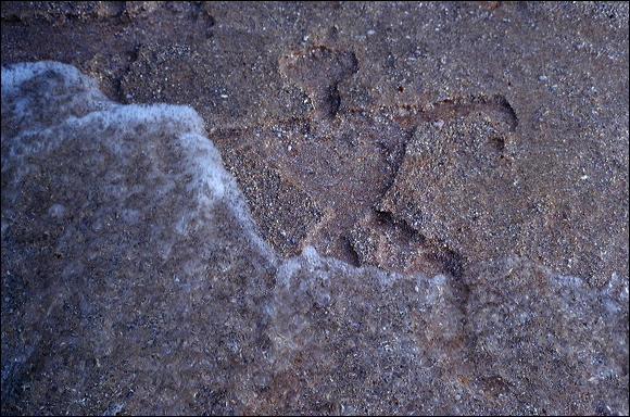 northshore-petroglyph-07.jpg