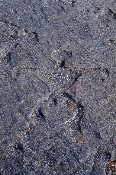 northshore-petroglyph-08.jpg