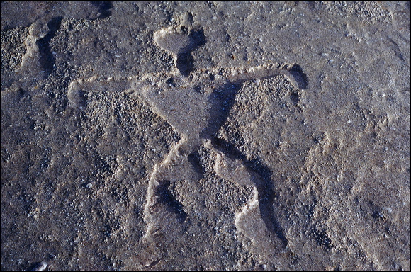 northshore-petroglyph-09.jpg