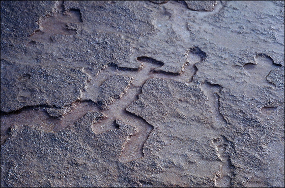 northshore-petroglyph-10.jpg