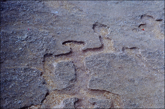northshore-petroglyph-11.jpg