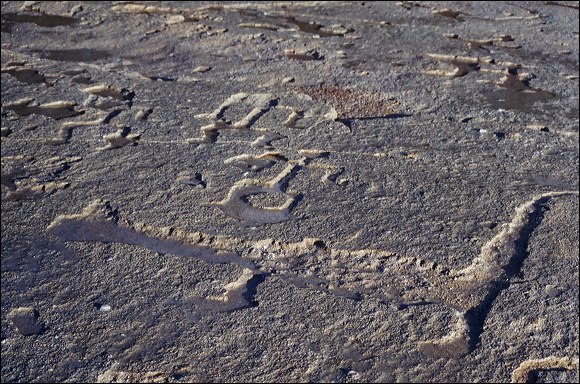northshore-petroglyph-13.jpg