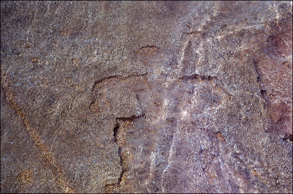 northshore-petroglyph-19.jpg