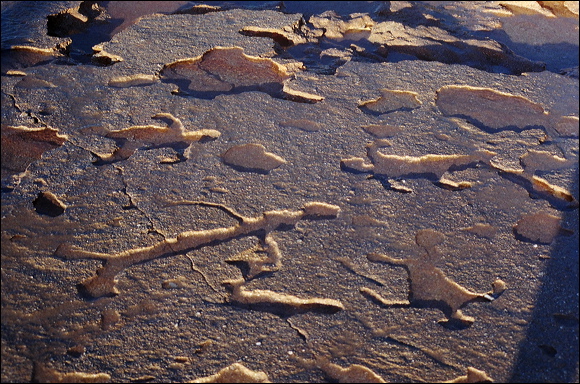 northshore-petroglyph-20.jpg