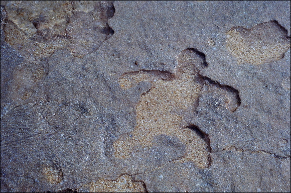 northshore-petroglyph-22.jpg