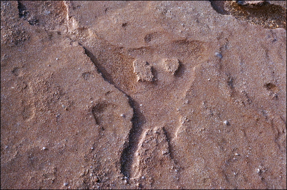 northshore-petroglyph-24.jpg