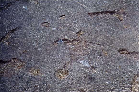northshore-petroglyph-27.jpg
