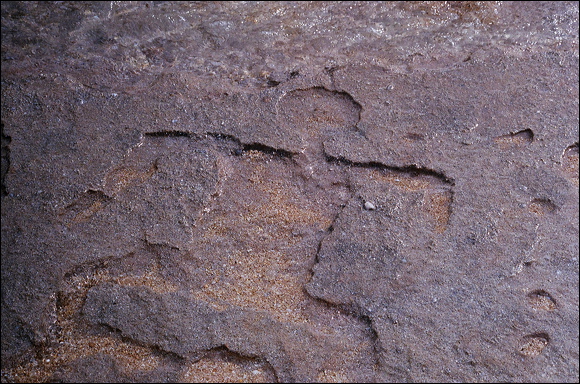 northshore-petroglyph-29.jpg