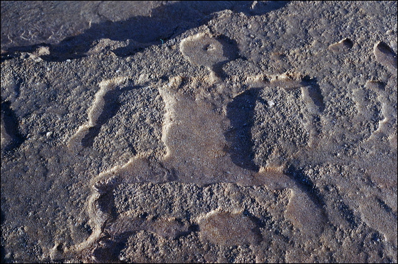 northshore-petroglyph-30.jpg