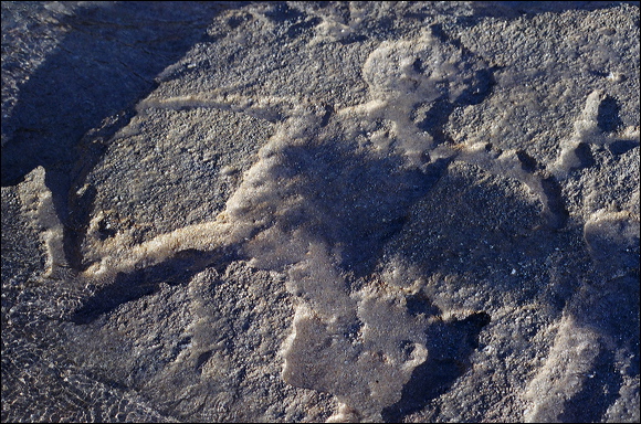 northshore-petroglyph-31.jpg