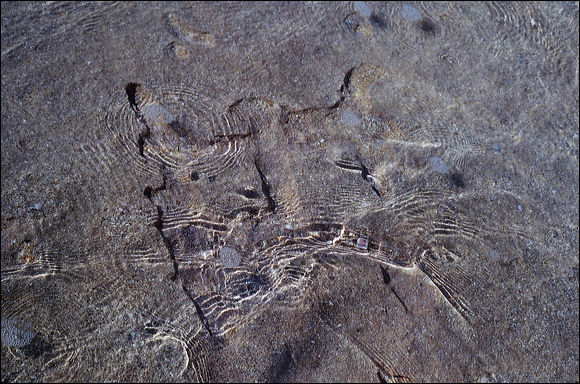 northshore-petroglyph-32.jpg