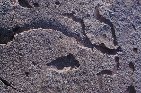 northshore-petroglyph-33.jpg