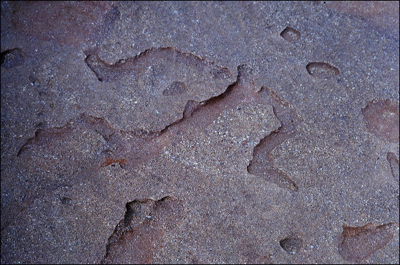 northshore-petroglyph-34.jpg