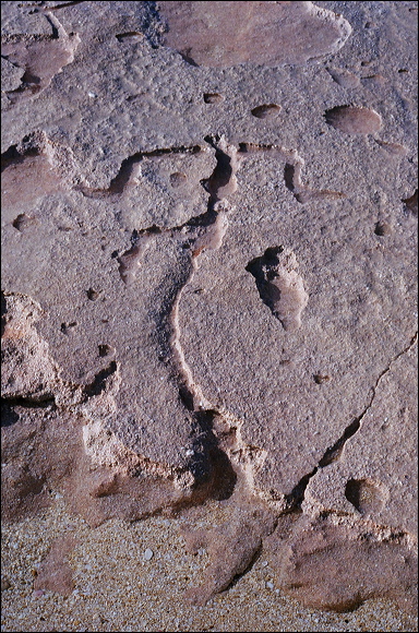 northshore-petroglyph-35.jpg
