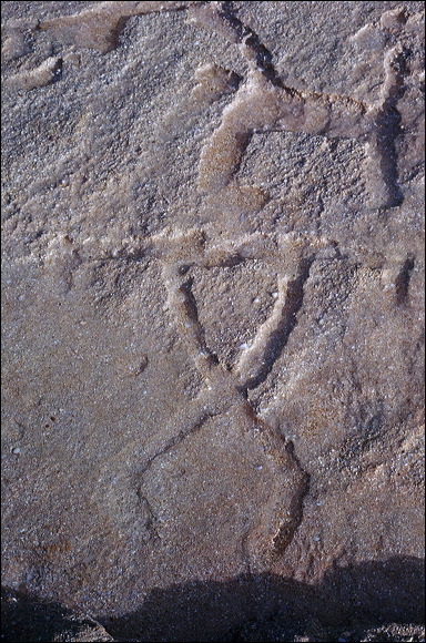 northshore-petroglyph-36.jpg