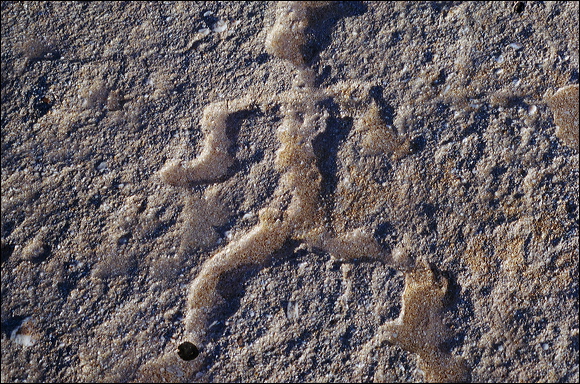 northshore-petroglyph-37.jpg