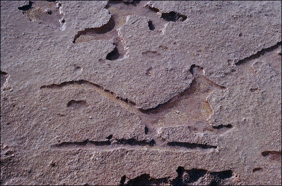 northshore-petroglyph-38.jpg