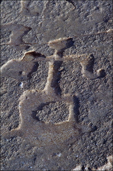 northshore-petroglyph-39.jpg