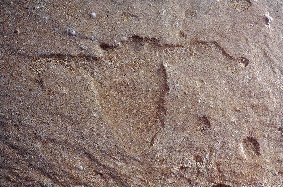 northshore-petroglyph-40.jpg