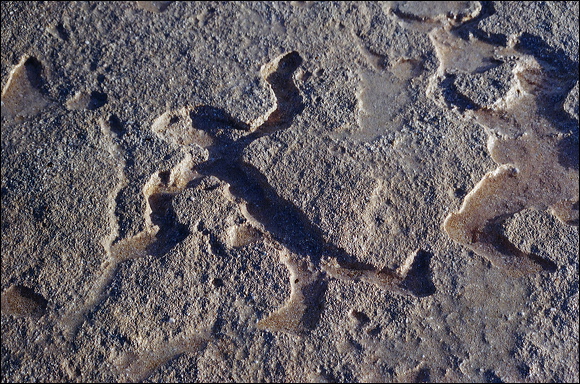 northshore-petroglyph-42.jpg