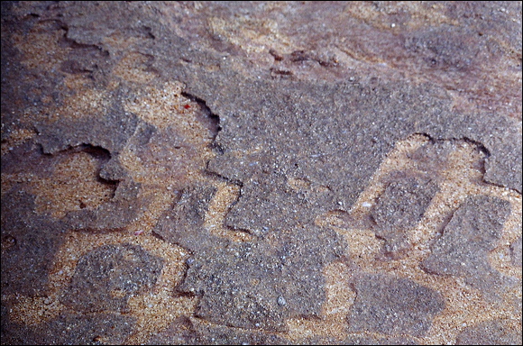 northshore-petroglyph-43.jpg