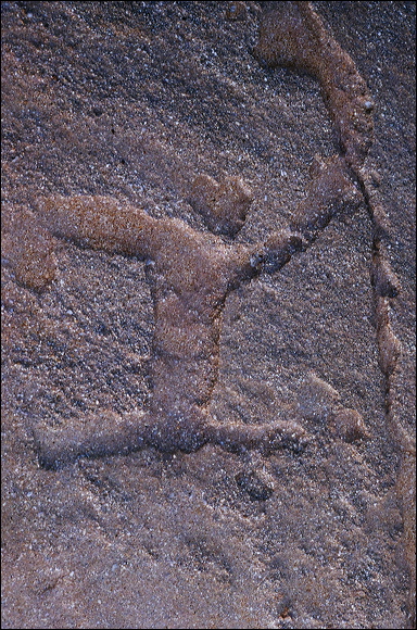 northshore-petroglyph-46.jpg