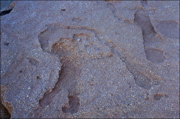 northshore-petroglyph-47.jpg