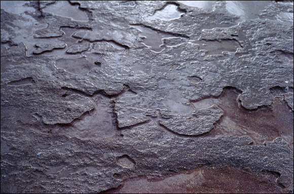 northshore-petroglyph-49.jpg